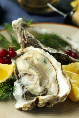 Lezzetli deniz ürünleri kavramı, istiridye, yakın plan.