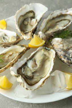 Lezzetli deniz ürünleri kavramı, istiridye, yakın plan.