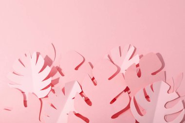 Pembe arkaplanda dekoratif egzotik yapraklar, metin için boşluk