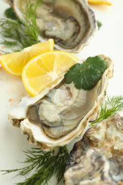 Lezzetli deniz ürünleri kavramı, istiridye, yakın plan.