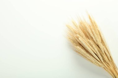 Kurumuş çiçekli Hygge kavramı veya bileşimi