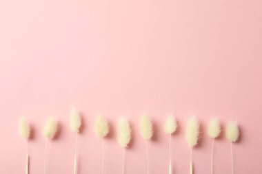 Hygge konsepti, pembe arka planda kurumuş çiçekler.