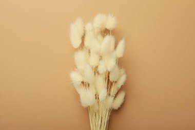 Kurumuş çiçekli Hygge kavramı veya bileşimi