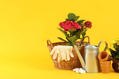 Sarı arka planda bahçıvanlık için aksesuarlar ve araçlar