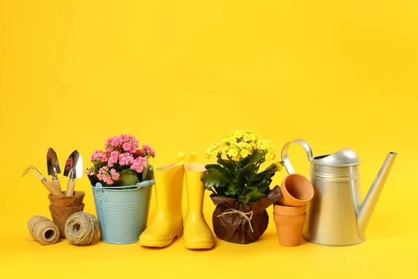 노란색 의정원을 가꾸는 도구와 액세서리 — 스톡 사진