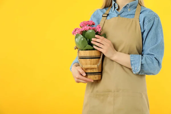 Konsep Berkebun Wanita Dengan Bunga Latar Belakang Kuning — Stok Foto