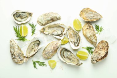 Lezzetli deniz ürünleri kavramı, beyaz arka planda istiridye.
