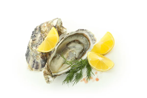 Concept Delicious Seafood Oyster Isolated White Background — Foto de Stock