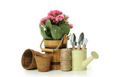 Bahçe işleri için araçlar ve aksesuarlar beyaz arka planda izole