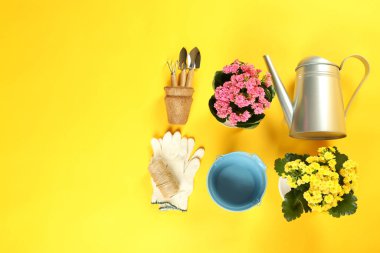 Sarı arka planda bahçıvanlık için aksesuarlar ve araçlar