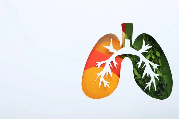 Beyaz Arkaplanda Dünya Akciğer Günü Kavramı Metin Için Boşluk — Stok fotoğraf