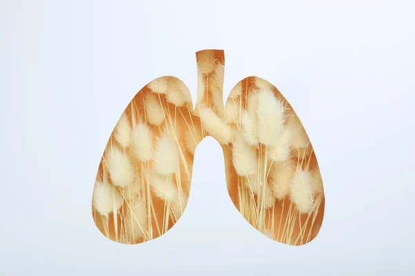 Beyaz Arka Planda Dünya Akciğer Günü Veya Akciğer Sağlığı Kavramı — Stok fotoğraf