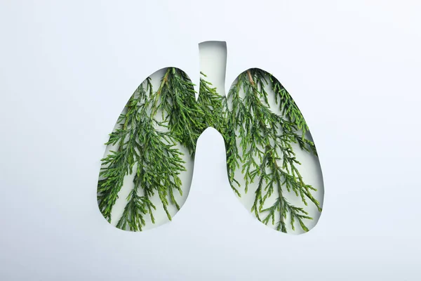 Beyaz Arka Planda Dünya Akciğer Günü Veya Akciğer Sağlığı Kavramı — Stok fotoğraf