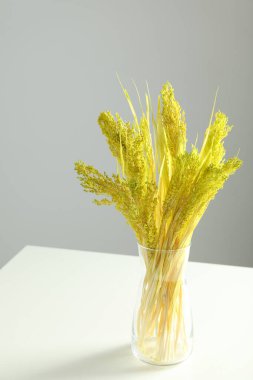 Beyaz masadaki kurumuş çiçekler gri arka planda