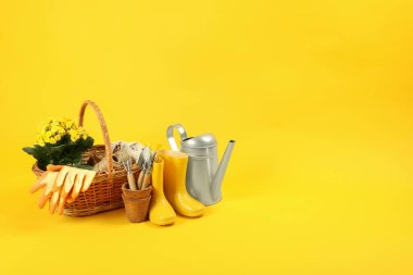 Sarı arka planda bahçe aletleri ve aksesuarları
