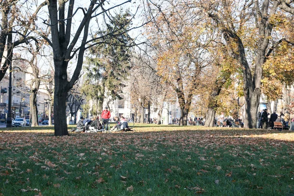Foto Des Stadtparks Einem Sonnigen Herbsttag — Stockfoto