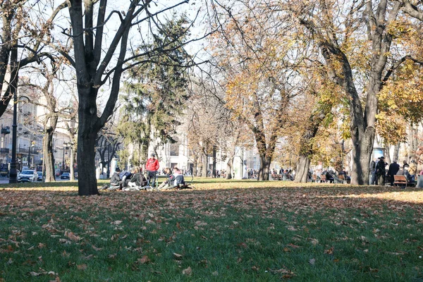 Foto Van Stadspark Zonnige Herfstdag — Stockfoto