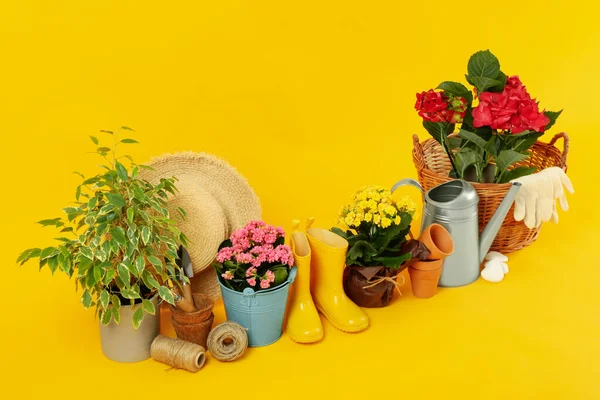 Zahradní Nářadí Příslušenství Žlutém Pozadí — Stock fotografie