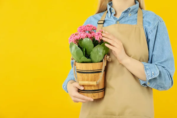 Konsep Berkebun Wanita Memegang Bunga Latar Belakang Kuning — Stok Foto