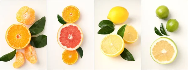 Collage Photo Différents Agrumes Concept Fruits Frais — Photo