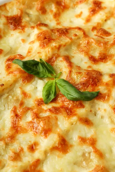 Concept Van Heerlijke Italiaanse Gerechten Lasagna Close — Stockfoto