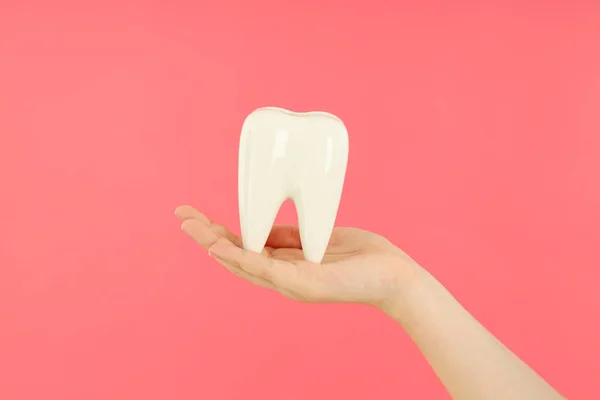 Concept Dental Care Female Hand Holds Tooth Pink Background — Stock Photo, Image