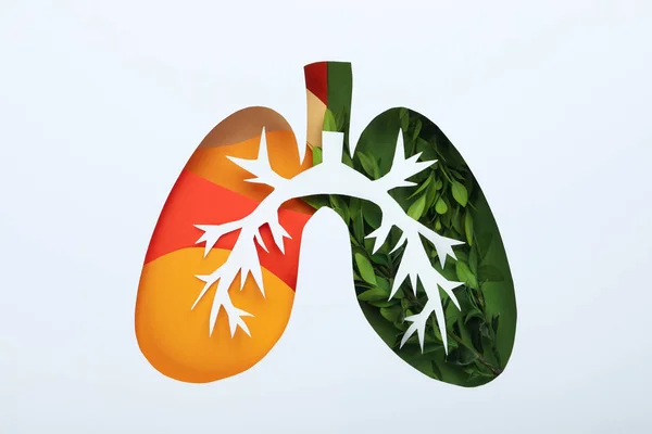 World Lung Day Lung Healthy Concept White Background — Stock Photo, Image