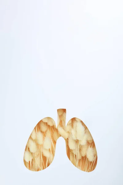 Verdensdagen Lunge Eller Lunge Friskt Konsept Hvit Bakgrunn – stockfoto