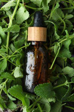 Naneli aromaterapi kavramı, kapat