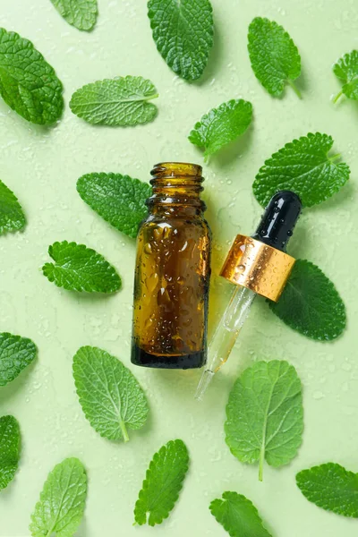 Concept of aromatherapy with mint, top view