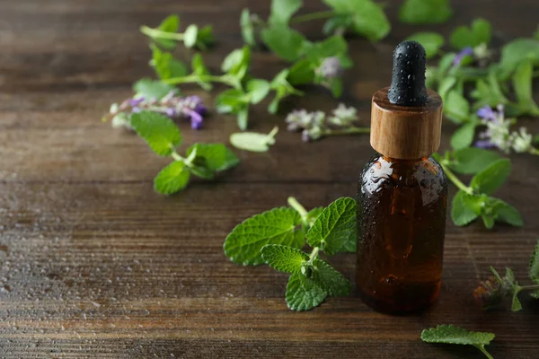 Concept Aromatherapy Mint Space Text — Stock Photo, Image