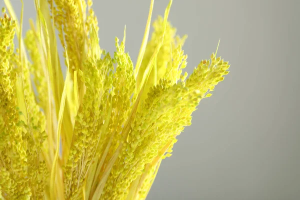 Schöne Getrocknete Blumen Nahaufnahme Und Platz Für Text — Stockfoto