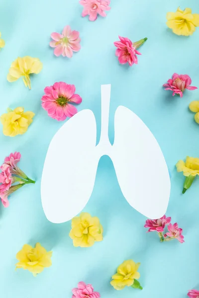 Concept of allergy, flowers and decorative lungs