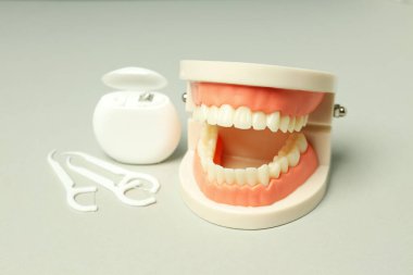 Açık gri arka planda diş bakımı veya diş bakımı kavramı