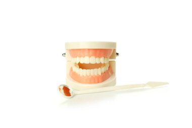 Beyaz arkaplanda izole edilmiş çene modeli ve ayna