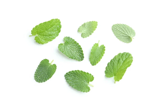 Concepto Aromaterapia Menta Aislada Sobre Fondo Blanco — Foto de Stock