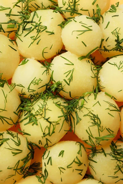 Conceito Comida Saborosa Com Batatas Jovens Fervidas — Fotografia de Stock