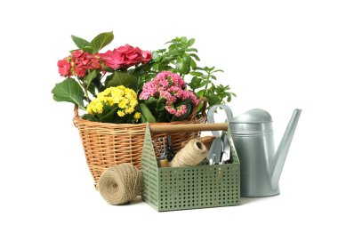 Beyaz arkaplanda izole edilmiş bahçe araçları ve aksesuarları