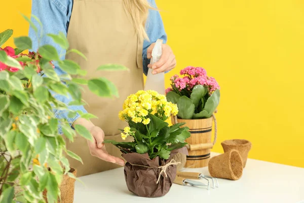 Konsep Berkebun Wanita Menyemprotkan Air Pada Bunga — Stok Foto