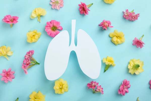 Koncepcja Światowego Dnia Płuca Problemy Płucami Leczenie — Zdjęcie stockowe