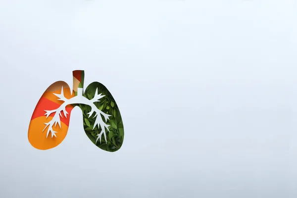 Concepto Día Mundial Del Pulmón Problemas Pulmonares Tratamiento —  Fotos de Stock