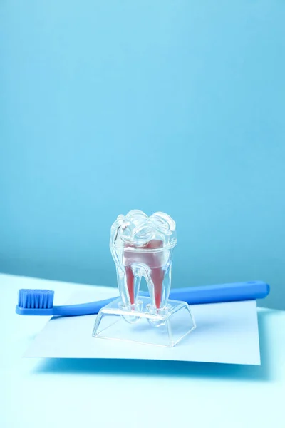 Concept of dental care, space for text