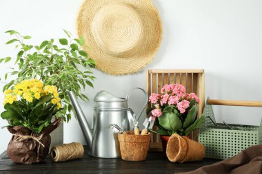 Bahçe aletleri ve aksesuarlar ahşap masada.