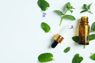 Aromatherapy concept with mint, space for text