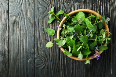 Aromatherapy concept with mint, space for text