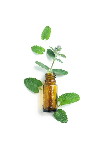 Aromatherapy Concept Bottle Mint Isolated White Background — Stockfoto