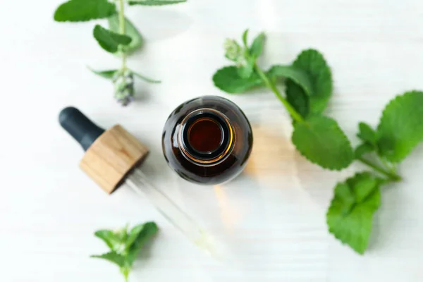 Concept Aromatherapy Mint Close — Stock Photo, Image