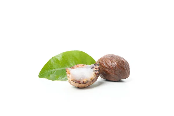 Shea Nut Halves Isolated White Background — Stock fotografie