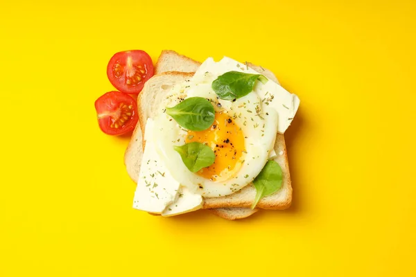 Concept Breakfast Tasty Homemade Sandwich — Fotografia de Stock