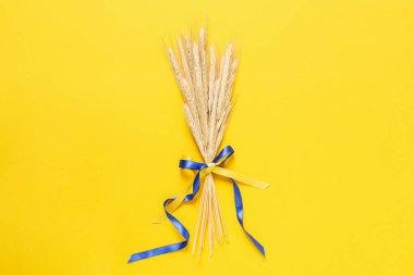 Sarı zemin üzerinde Ukrayna bayrağı renginde kurdeleler